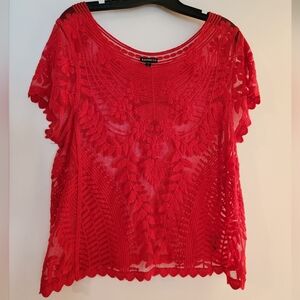 Short Sleeve Sheer Embroidered Top